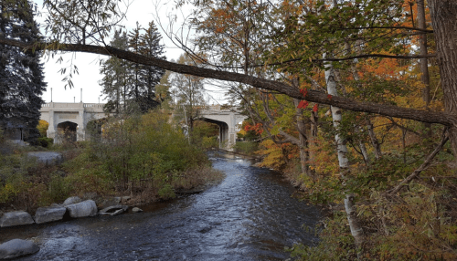 A serene river flows through a forested area with autumn foliage, framed by trees and a bridge in the background.