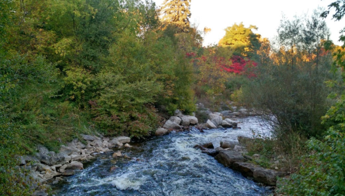 A serene river flows through a lush landscape with vibrant autumn foliage and rocky banks.
