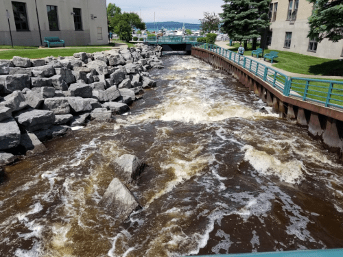 A rushing brown river flows past rocky banks, with green benches and trees lining the shore in a sunny park setting.