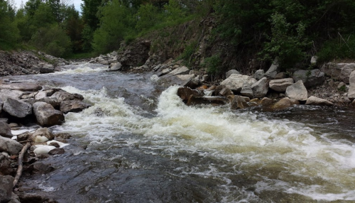 A flowing river with rocky banks, surrounded by lush greenery and trees.