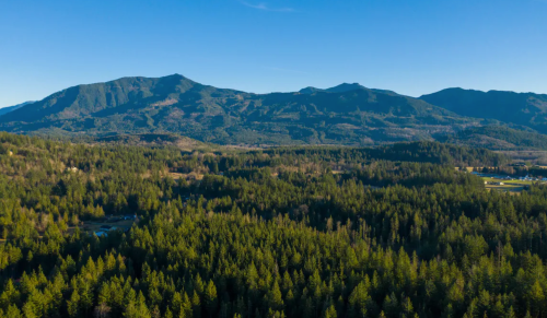 Aerial view of lush green forests and mountains under a clear blue sky.