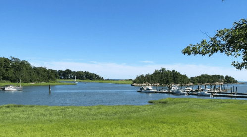 A serene coastal scene with boats docked in a calm bay, surrounded by lush green grass and trees under a clear blue sky.