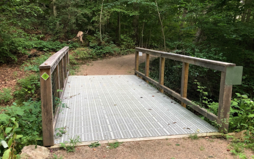 A wooden bridge over a path in a lush green forest, surrounded by trees and foliage.