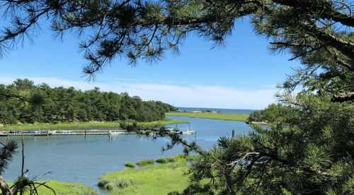 A serene view of a river winding through lush greenery, with boats docked and a clear blue sky above.