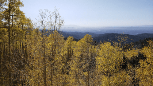 A scenic view of mountains and valleys, framed by vibrant yellow autumn trees under a clear blue sky.