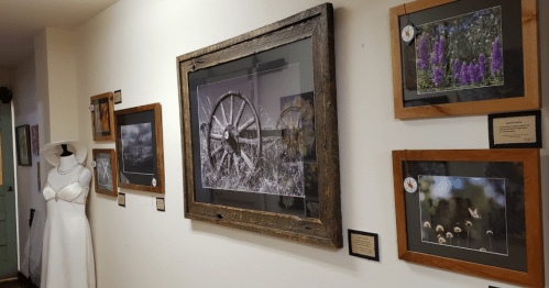 A gallery wall featuring framed photographs and a white dress on display, showcasing nature and historical themes.