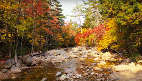 A serene river flows through a vibrant forest with autumn leaves in shades of red, orange, and yellow.