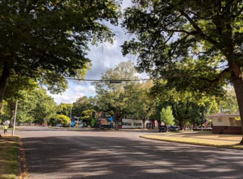 A quiet street lined with trees, featuring a cloudy sky and a few buildings in the background.