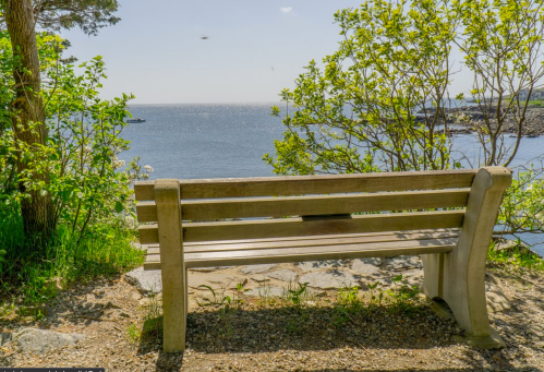 A wooden bench overlooking a calm sea, surrounded by greenery and a clear blue sky.