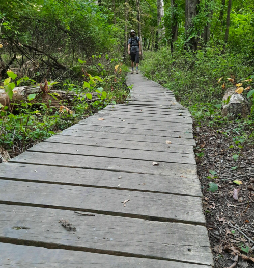 A wooden path through a lush green forest, with a person walking in the distance.