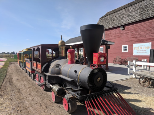 A vintage steam train parked near a red barn, with a person standing beside it and a field trip sign in the background.