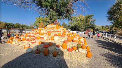 A large pyramid of pumpkins in various colors sits on hay bales under a clear blue sky, with people walking nearby.