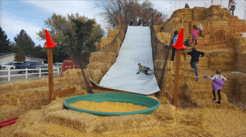 Children sliding down a hay-covered slope into a circular pool of corn kernels, surrounded by hay bales and autumn scenery.