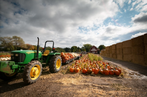 A green tractor beside a row of pumpkins on a farm, with hay bales and a red barn in the background under a cloudy sky.