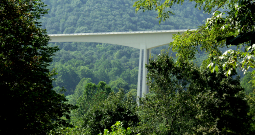 A modern bridge spans a lush green valley, surrounded by dense trees and rolling hills in the background.