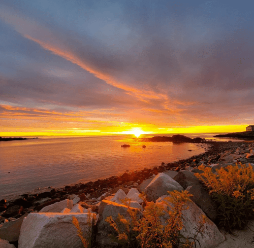 A vibrant sunset over calm waters, with rocky shorelines and wildflowers in the foreground.