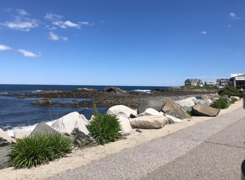 Coastal view with rocky shoreline, blue ocean, and clear sky, lined by grass and a pathway.