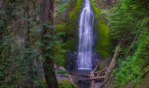 A serene waterfall cascades down moss-covered rocks, surrounded by lush green trees and fallen logs.