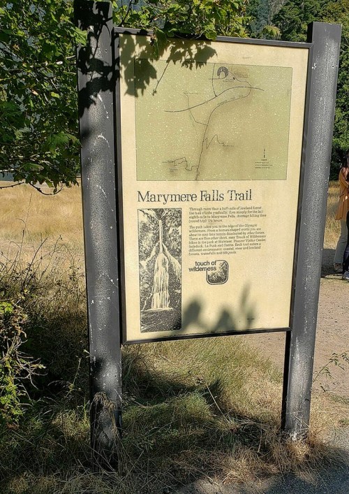 Sign for Marymere Falls Trail, featuring a map and information about the trail and its natural features.