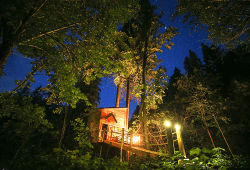 A cozy treehouse illuminated at night, surrounded by tall trees and a starry sky.