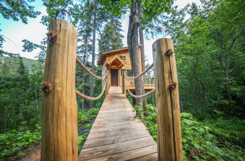 A wooden bridge leads to a cozy treehouse nestled among lush green trees.