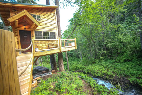 A wooden treehouse nestled among trees, overlooking a small stream and lush greenery.