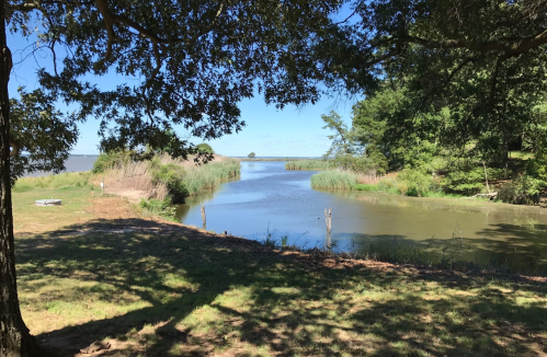 A serene river scene surrounded by lush greenery and trees under a clear blue sky.