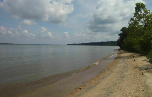 A serene riverbank scene with calm water, sandy shore, and lush trees under a partly cloudy sky.