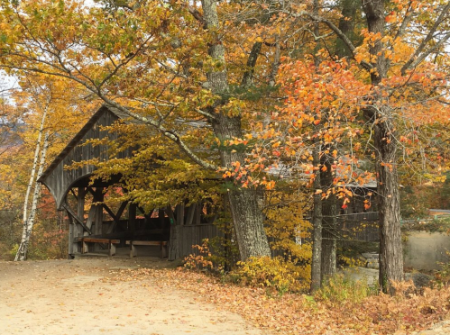 A rustic wooden shelter surrounded by vibrant autumn foliage in shades of orange and yellow.
