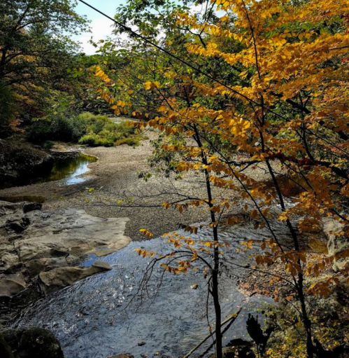 A serene river scene surrounded by trees with vibrant autumn leaves, reflecting the colors of fall.