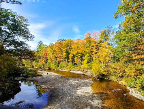 A serene river scene surrounded by vibrant autumn trees under a clear blue sky.