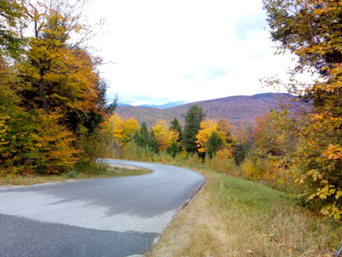 A winding road surrounded by vibrant autumn foliage and distant mountains under a cloudy sky.