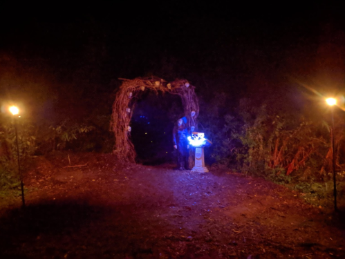 A dark forest scene with a glowing archway made of branches and a figure near a lit pedestal, surrounded by torches.