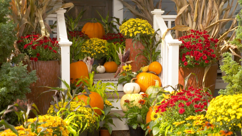 A vibrant autumn scene with pumpkins, colorful flowers, and decorative plants on a porch.