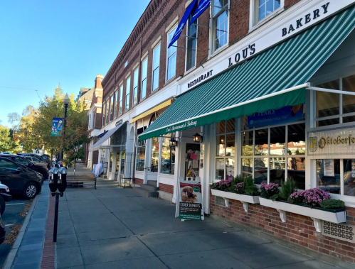 A street view of Lou's Bakery with green awning, flowers, and nearby shops on a sunny day.