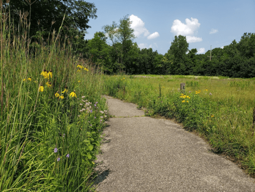 A winding path through tall grass and wildflowers, leading into a sunny, green field under a blue sky.