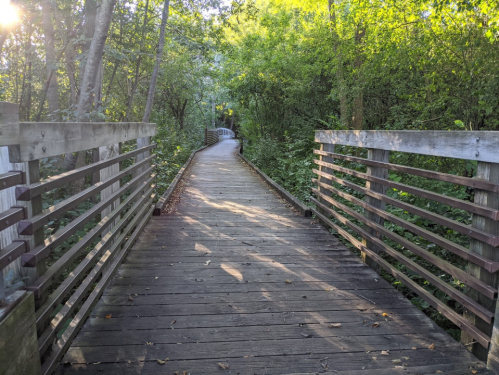 A wooden boardwalk winding through lush greenery, surrounded by trees and dappled sunlight.