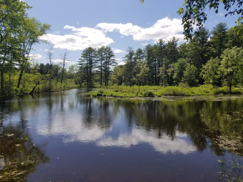 A serene river scene with lush greenery and trees, reflecting clouds and blue sky on the water's surface.