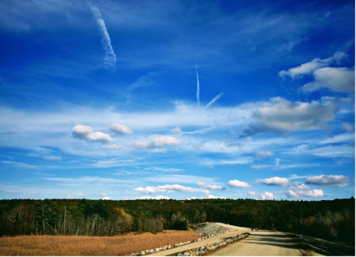 A scenic view of a gravel path under a blue sky with clouds, surrounded by trees and open fields.