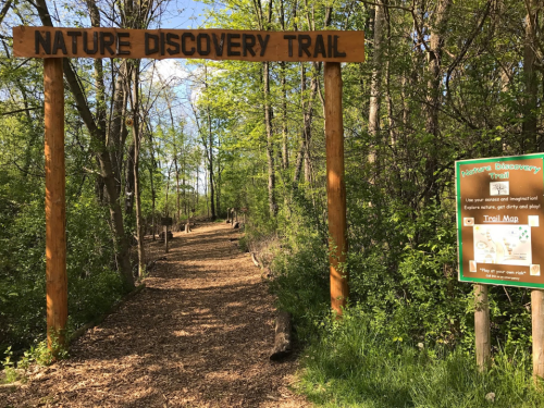 A wooden sign marks the entrance to a Nature Discovery Trail, surrounded by trees and a trail map nearby.