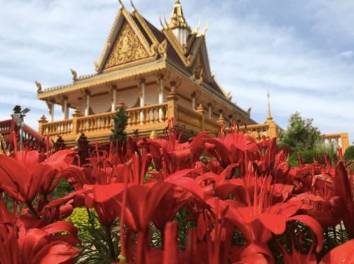 A vibrant display of red flowers in the foreground with a golden temple and cloudy sky in the background.
