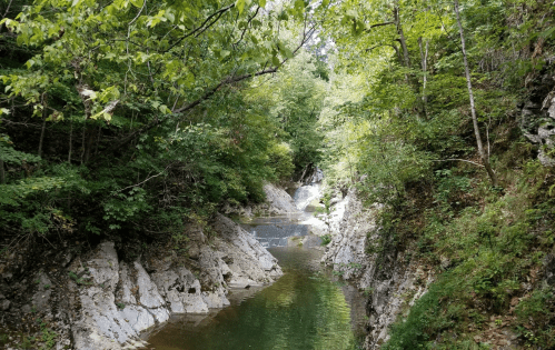 A serene creek flows through a rocky landscape, surrounded by lush green trees and gentle slopes.
