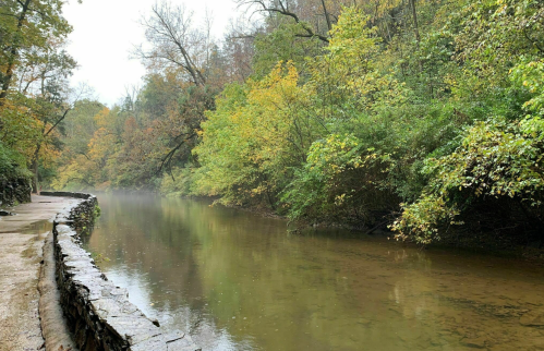 A serene river flows beside a tree-lined path, surrounded by lush greenery and autumn foliage on a misty day.