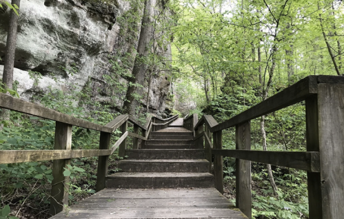 A wooden staircase leads up through a lush green forest, flanked by rocky cliffs and vibrant foliage.