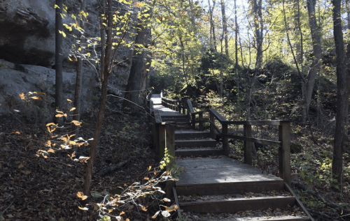 A wooden staircase winds through a forested area, surrounded by trees and rocky cliffs.