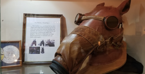 A horse mask with goggles displayed in a glass case, alongside a framed historical description about World War I.