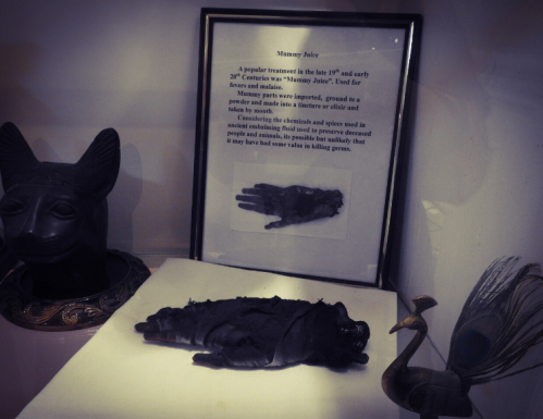 A display featuring a mummified hand, a sign about "Mummy Juice," and an ancient Egyptian statue.