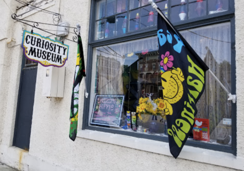 Colorful flags and a sign for the Curiosity Museum adorn a window with various items and flowers inside.