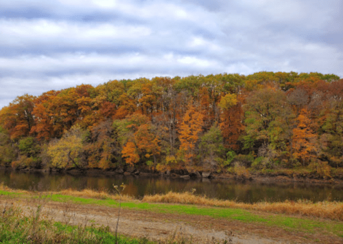 A serene riverbank scene with vibrant autumn foliage reflecting in the water under a cloudy sky.