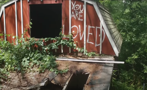 An abandoned barn with red siding, overgrown with plants, featuring the message "YOU ARE LOVED" painted on the side.